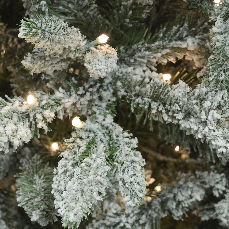 "FLOCKED NORTH STAR" TREE WITH BUILT-IN LEDS 210CM 