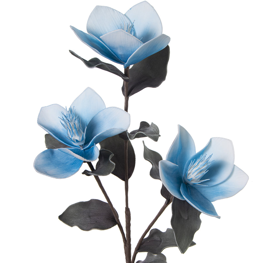 FIORE AZZURRO