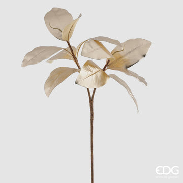 RAMO MAGNOLIA-EDG