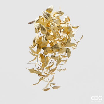 ULIVO GOLD-EDG